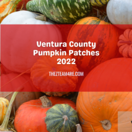 Ventura County Pumpkin Patches 2022