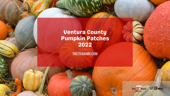 With eight different locations for 2022 Ventura County Pumpkin Patches offering corn mazes, hay rides, pumpkin carving, and so much more, you are bound to find one near you to take the kiddos for some Halloween-themed fun.