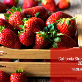 California Strawberry Festival 2023