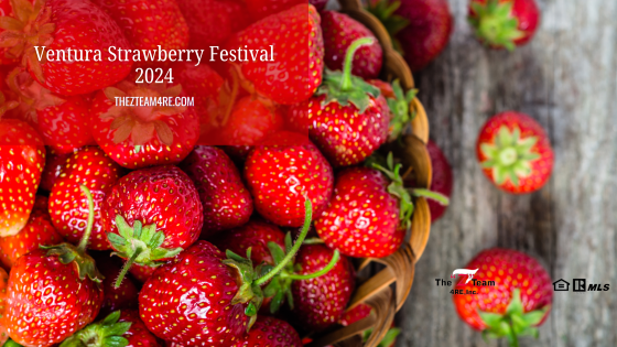 Celebrate California's role in strawberry production at the Ventura Strawberry Festival 2024 on May 18th & 19th at the Ventura County Fairgrounds.