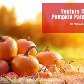 Ventura County Pumpkin Patches 2024