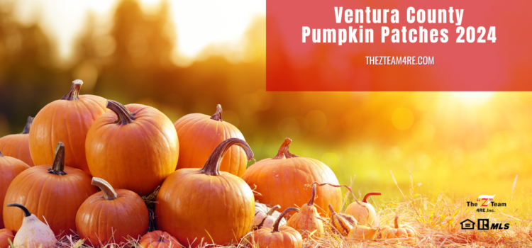 Ventura County Pumpkin Patches 2024