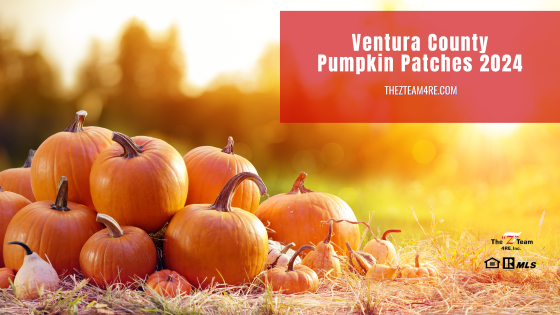 Looking for something fun to do with the family this year? Try one of these Ventura County Pumpkin Patches open now through Halloween night.