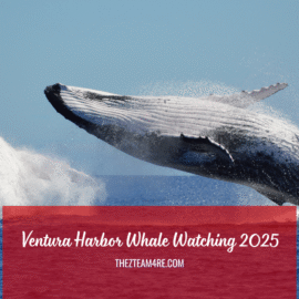 Ventura Harbor Whale Watching 2025