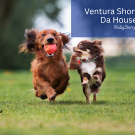 Ventura Short Dawgs in Da House 2026