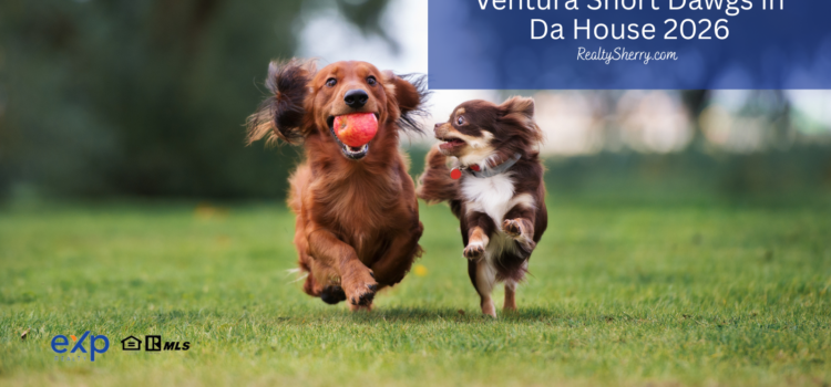 Ventura Short Dawgs in Da House 2026